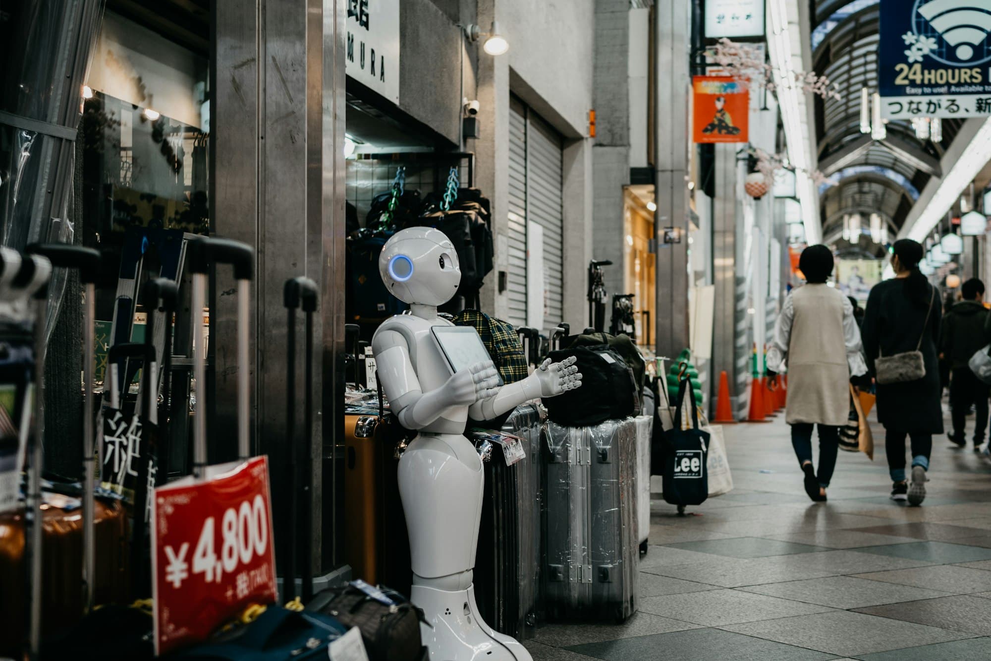 AI's White-Collar Reckoning