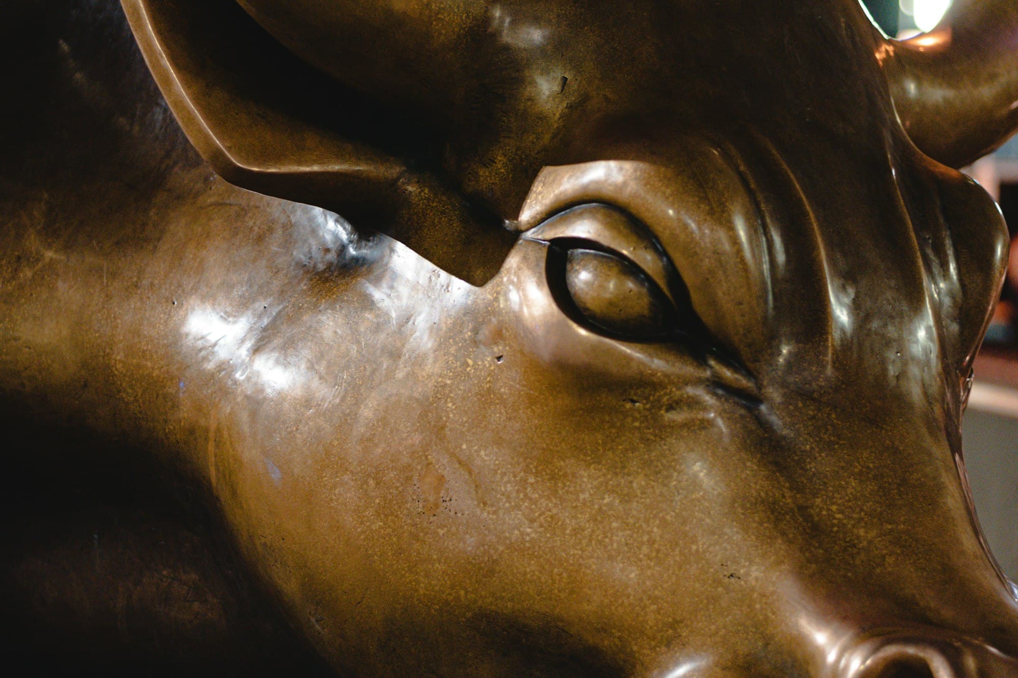 IPO Activity Heats Up